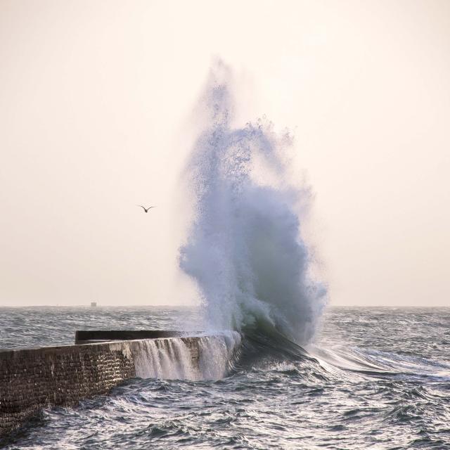 Tempête