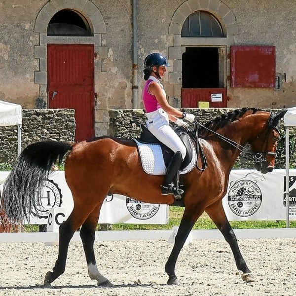 Des coucours réguliers