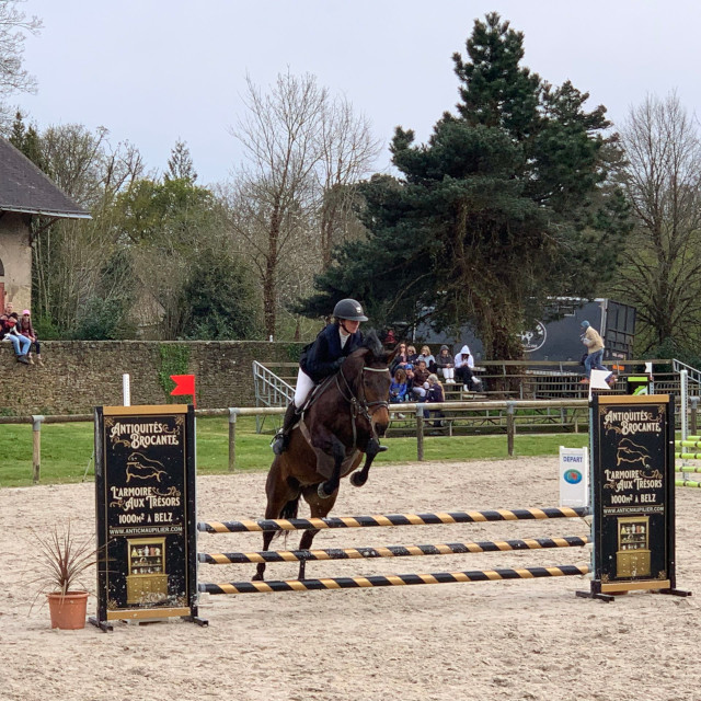 Concours de saut d'obstacles
